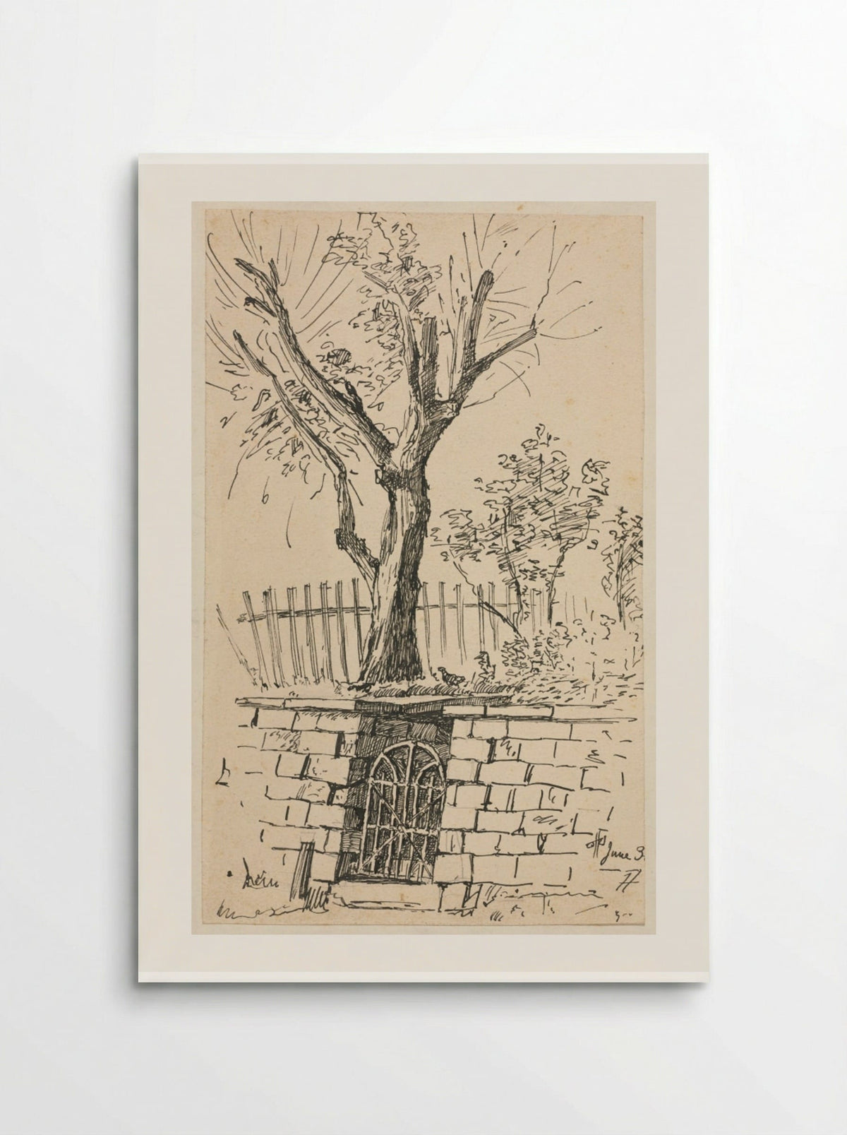 Tree on Top of a Stone Wall, Cleveland - Otto H. Bacher - Poster