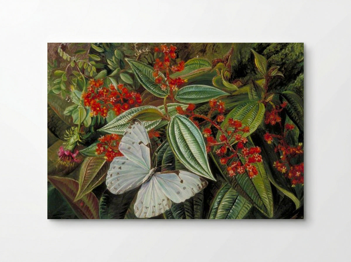 Trees Laden with Parasites and Epiphytes in a Brazilian Garden - Marianne North - Poster