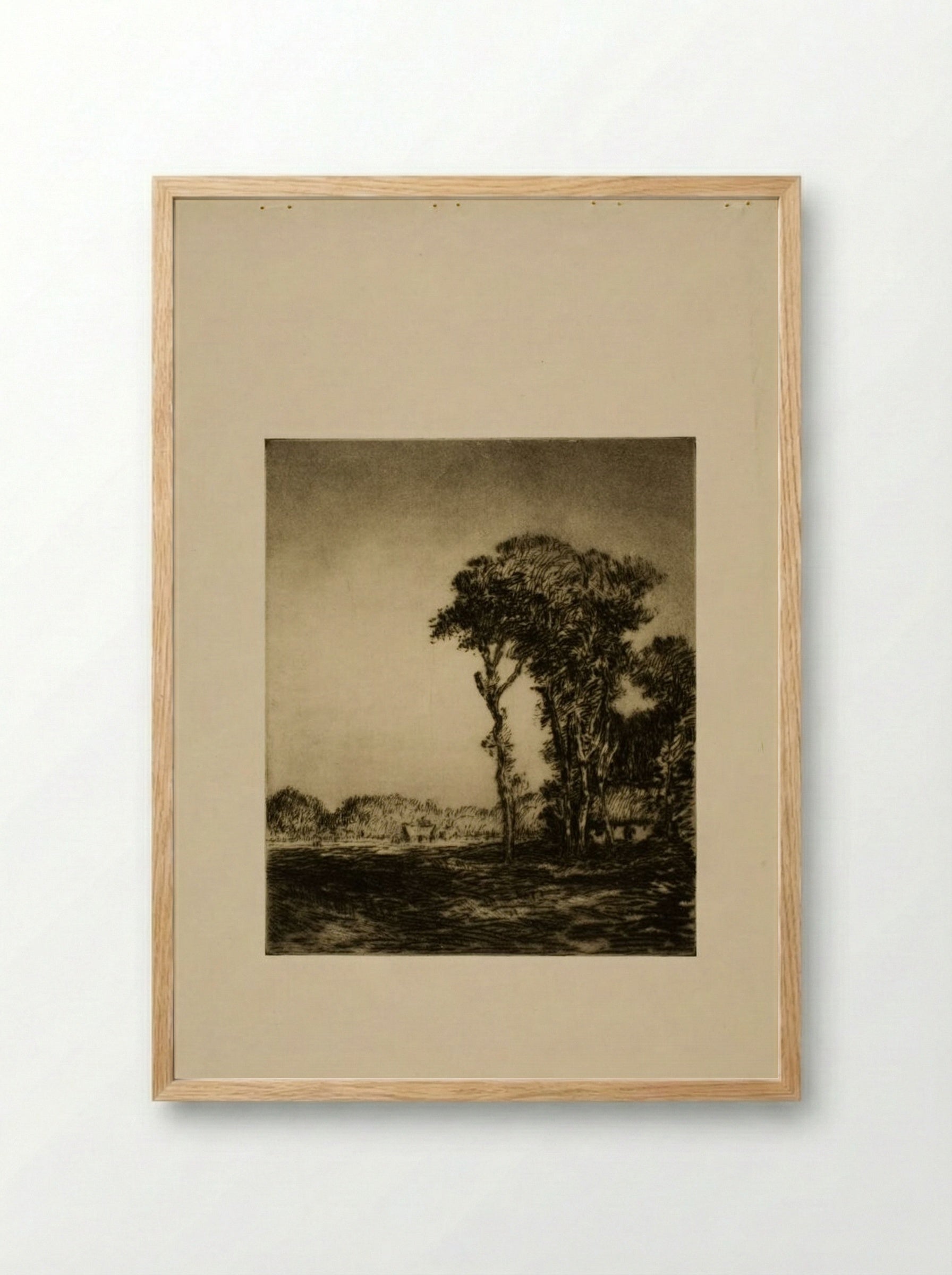 Trees and Field - Alexander Shilling - Framed Print Wood