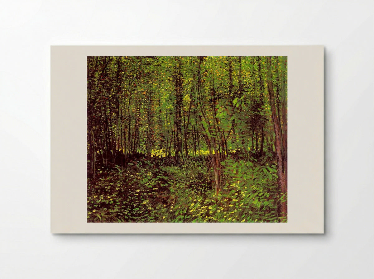 Trees and Undergrowth - Vincent van Gogh - Poster