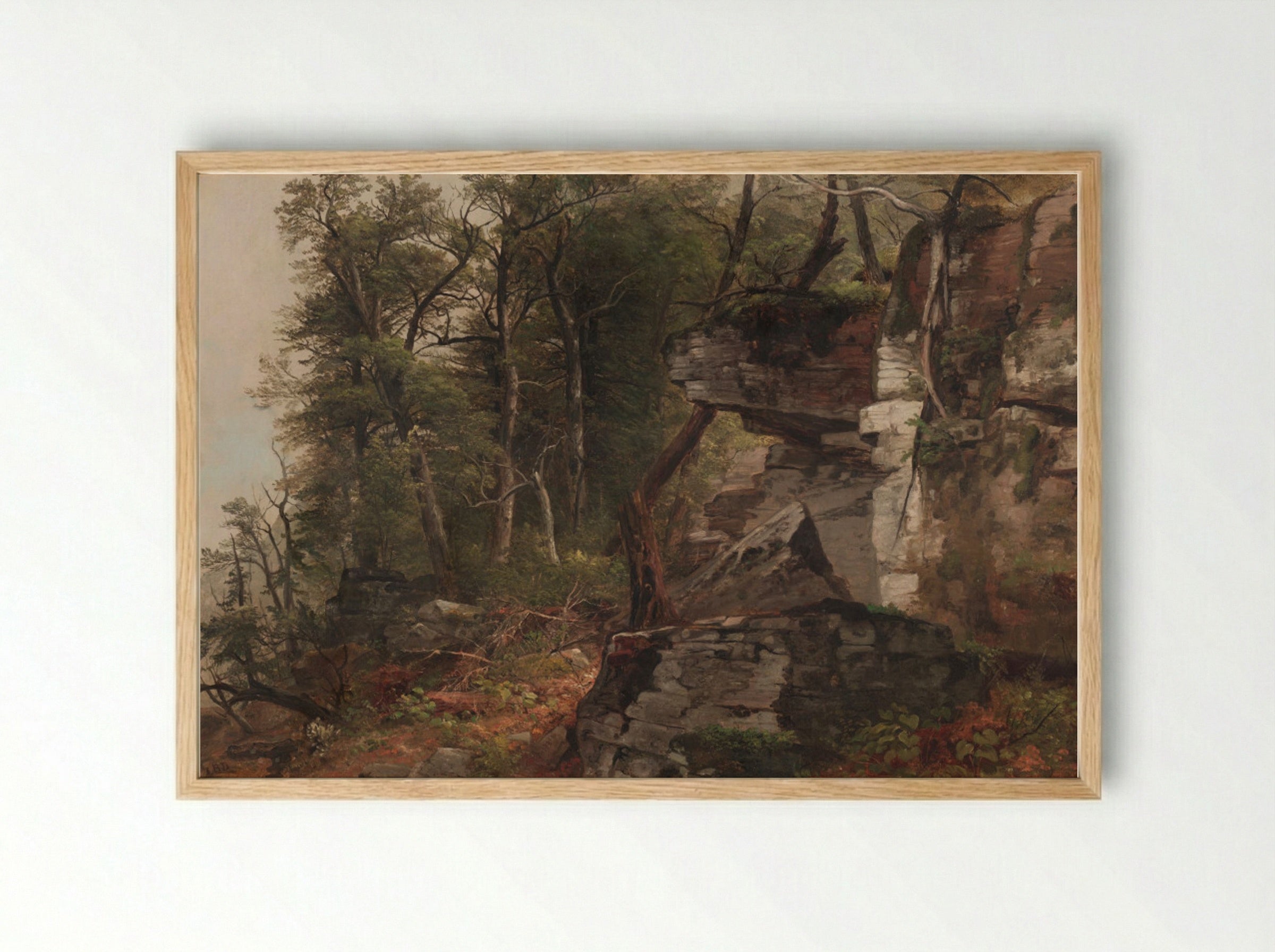 Trees on a Rocky Hillside - Asher B. Durand - Framed Print Wood
