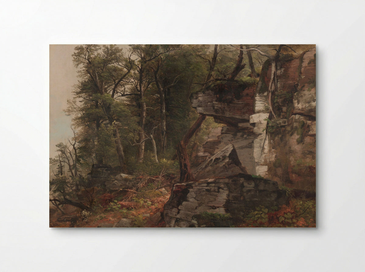 Trees on a Rocky Hillside - Asher B. Durand - Poster