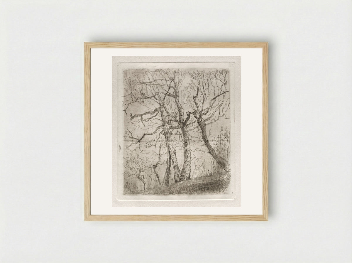 Trees - Otto H. Bacher - Framed Print Wood