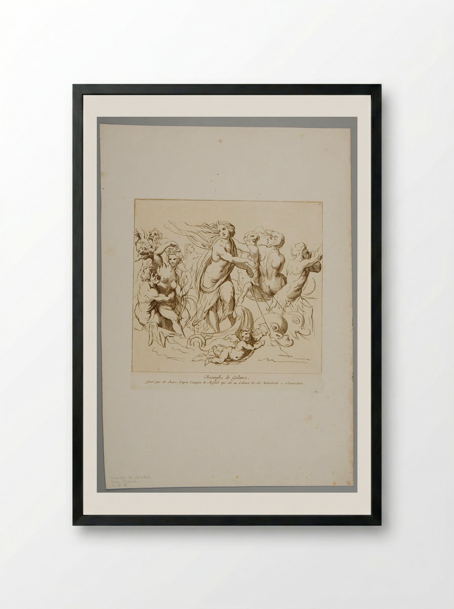 Triumph of Galatea - Bernard Picart - Framed Print Black