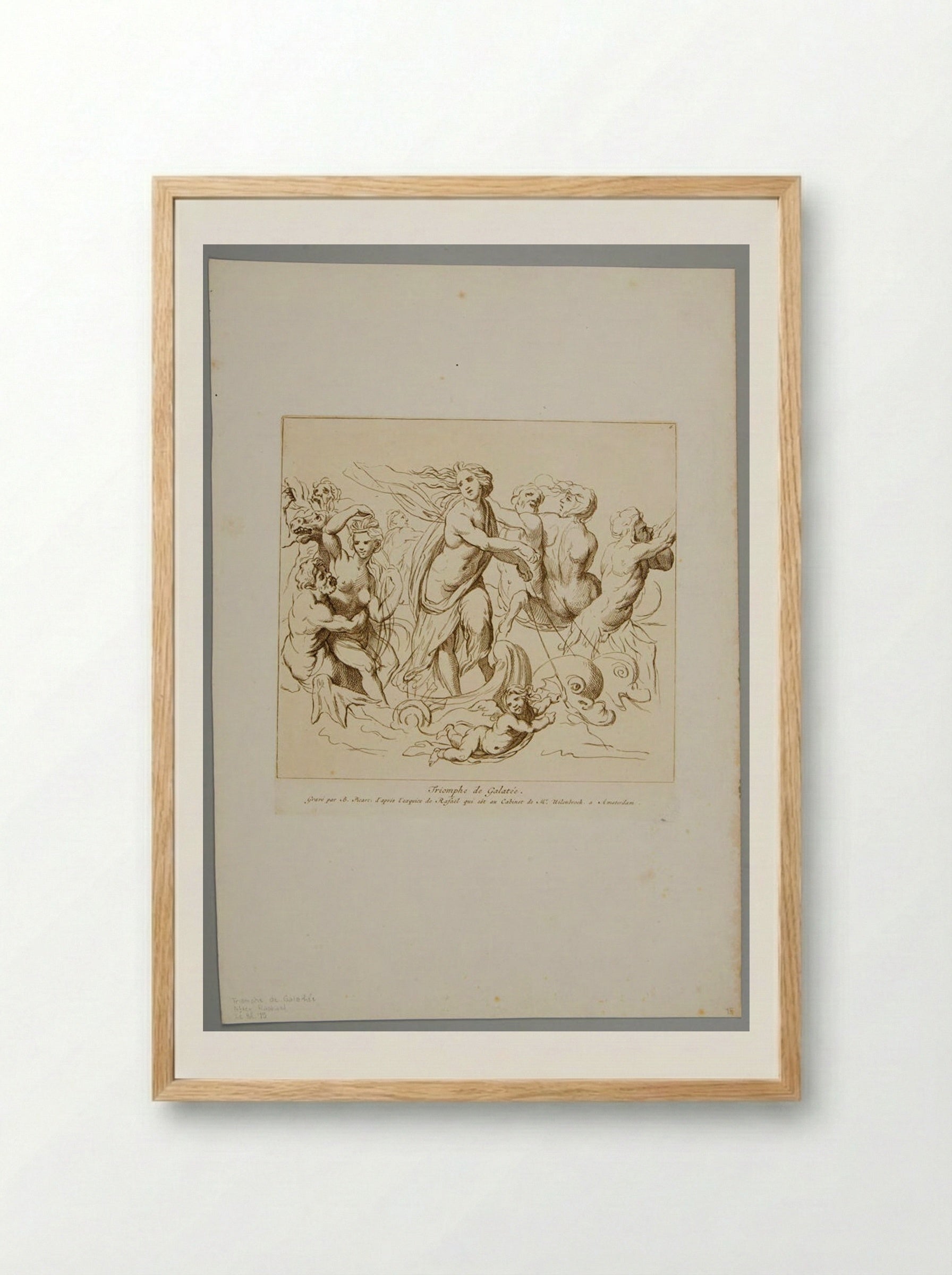 Triumph of Galatea - Bernard Picart - Framed Print Wood