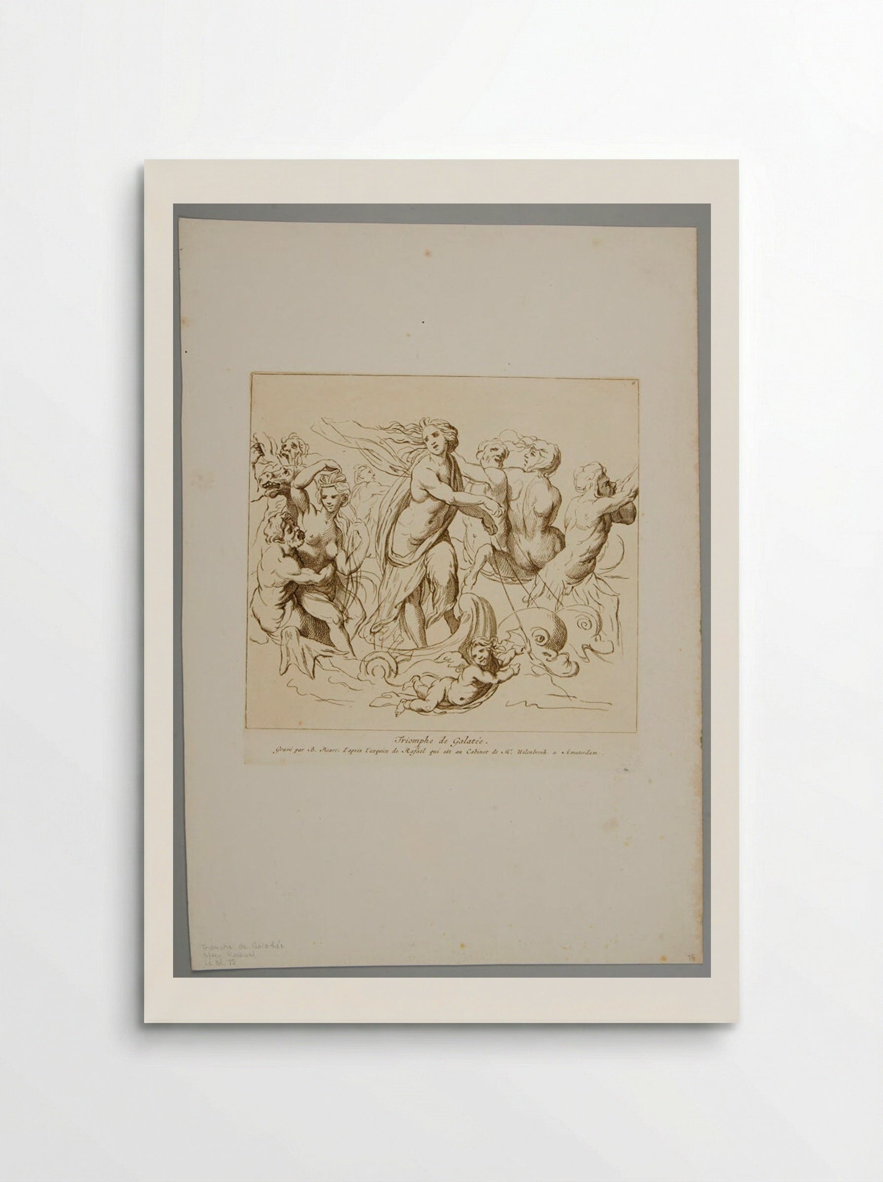 Triumph of Galatea - Bernard Picart - Poster