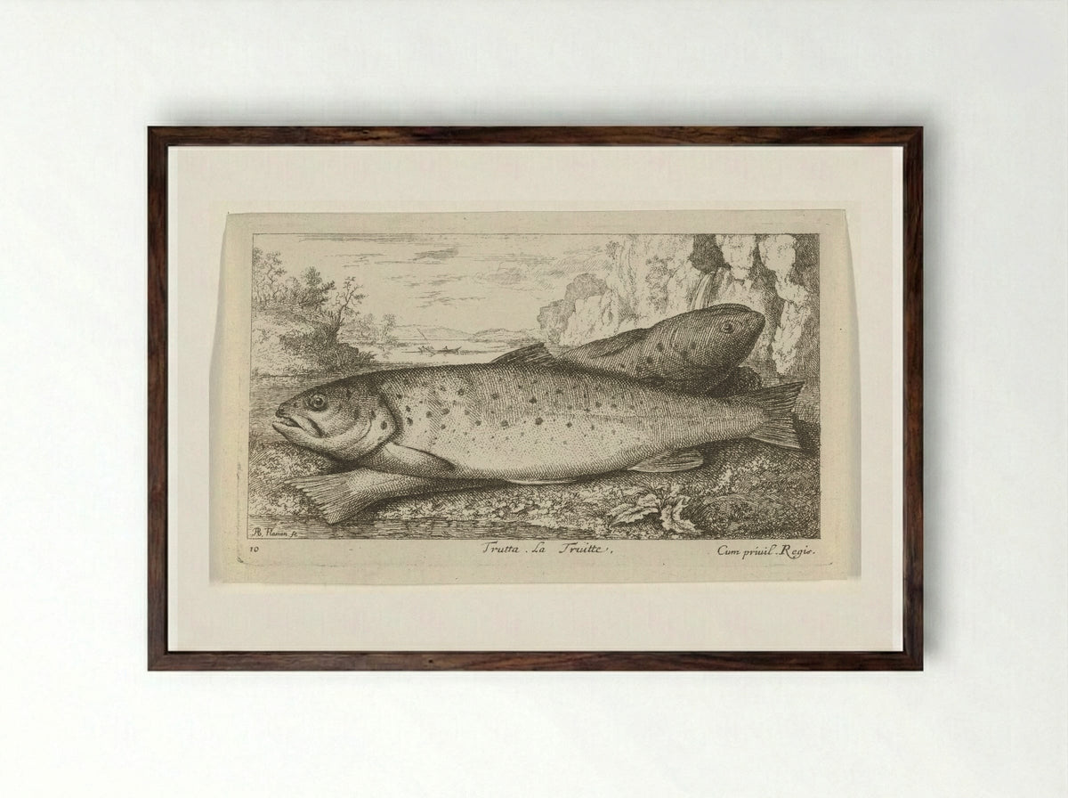 Trutta. La Truitte - Albert Flamen - Framed Print Dark Wood