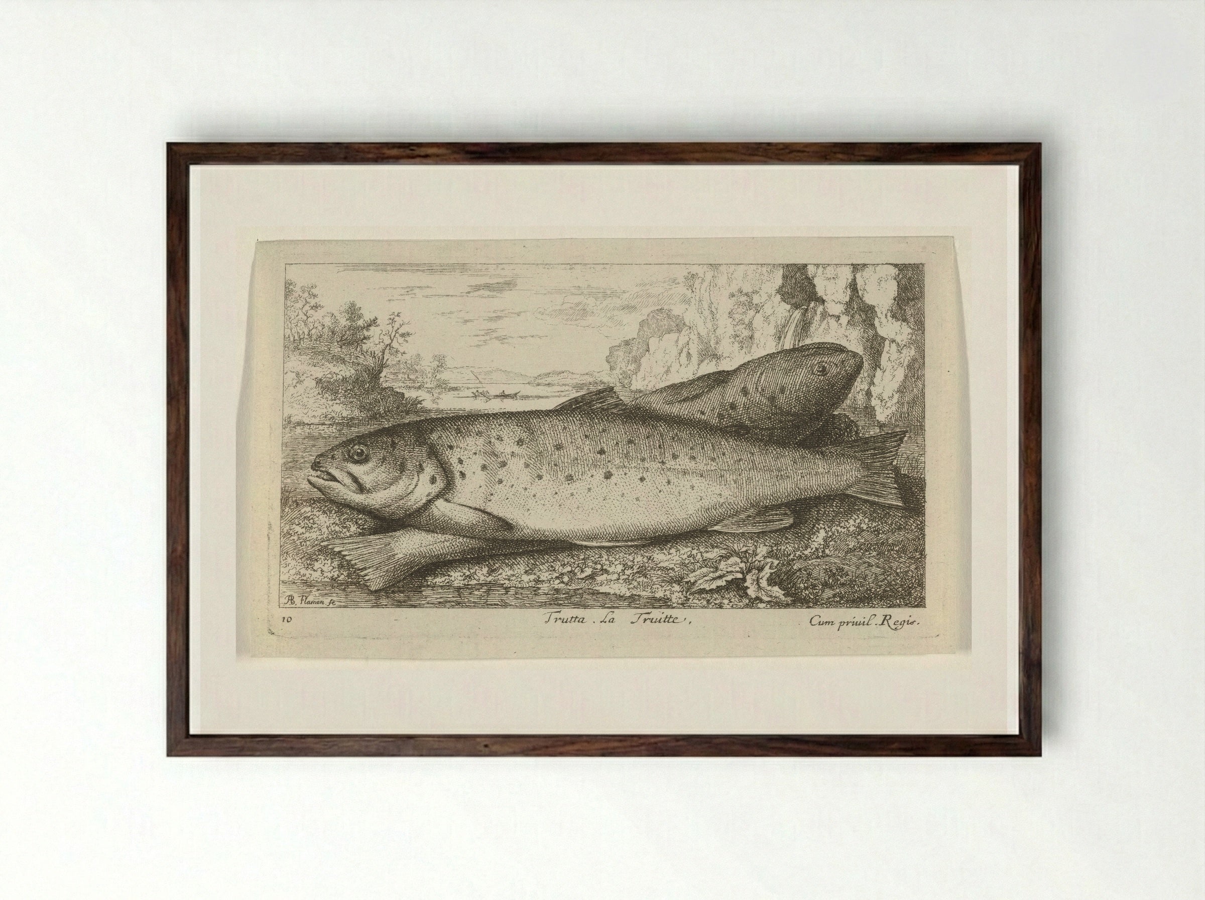 Trutta. La Truitte - Albert Flamen - Framed Print Dark Wood