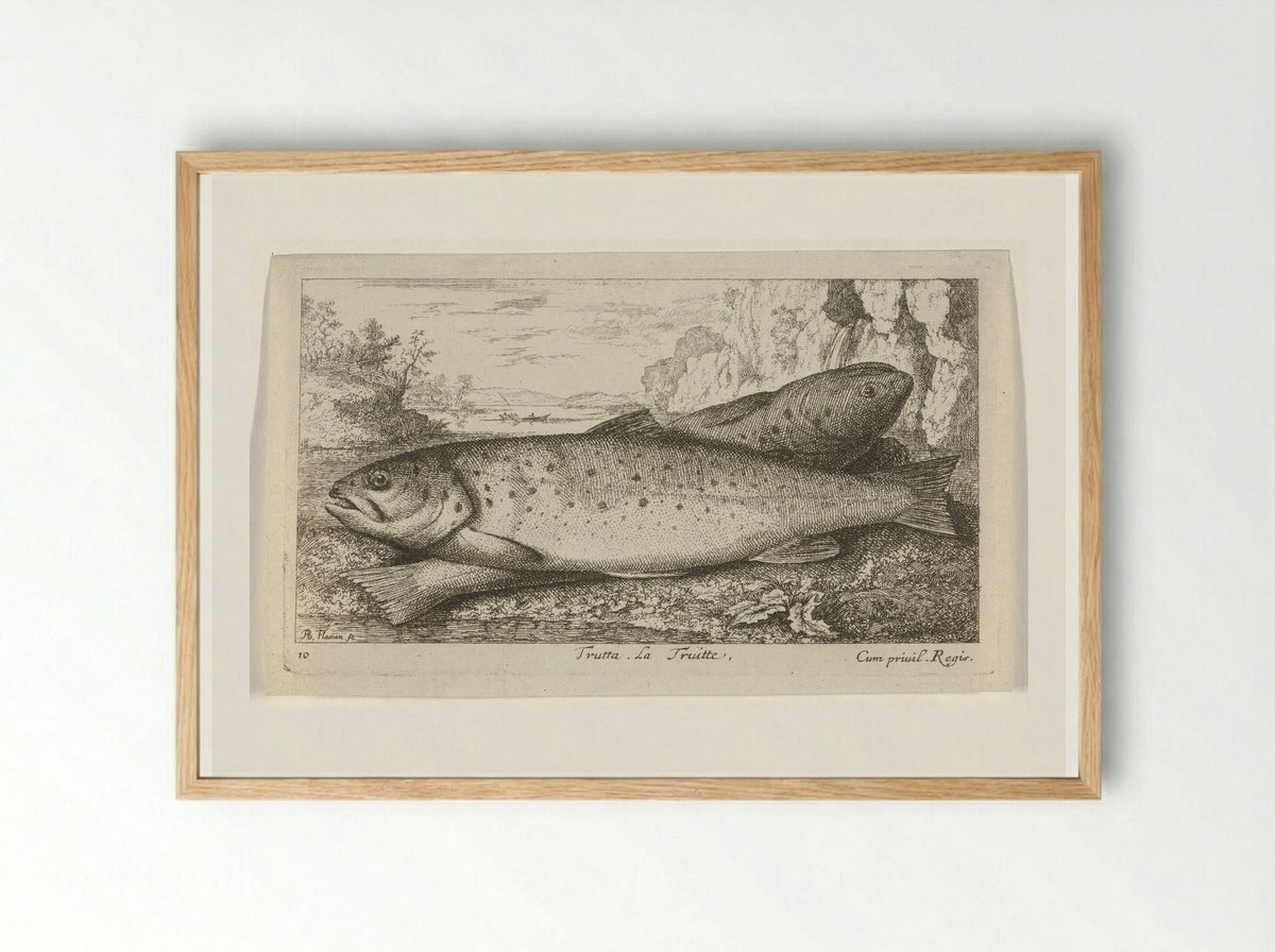 Trutta. La Truitte - Albert Flamen - Framed Print Wood