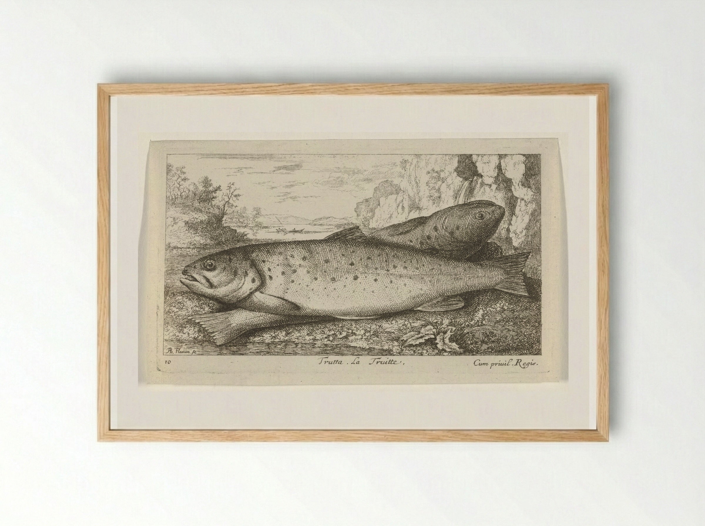 Trutta. La Truitte - Albert Flamen - Framed Print Wood