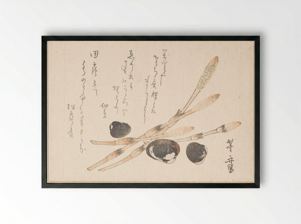 Tsukushi Plant and Shijimi Shells - Uematsu Tōshū - Framed Print Black