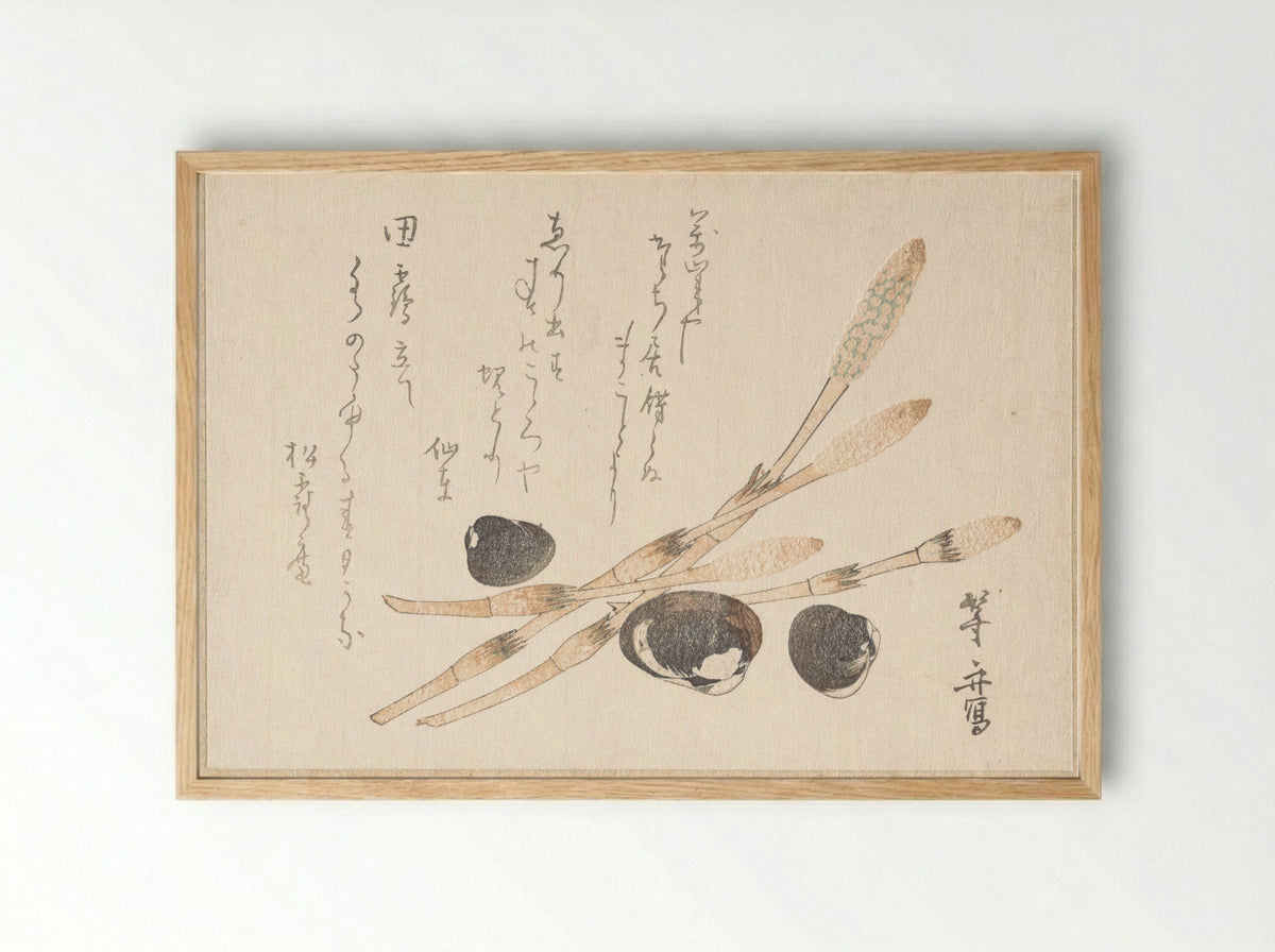 Tsukushi Plant and Shijimi Shells - Uematsu Tōshū - Framed Print Wood