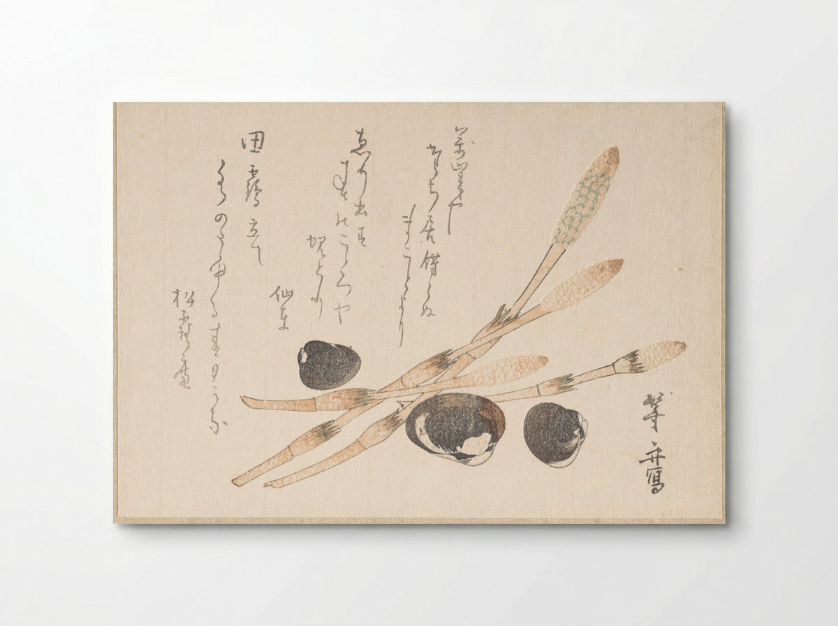 Tsukushi Plant and Shijimi Shells - Uematsu Tōshū - Poster