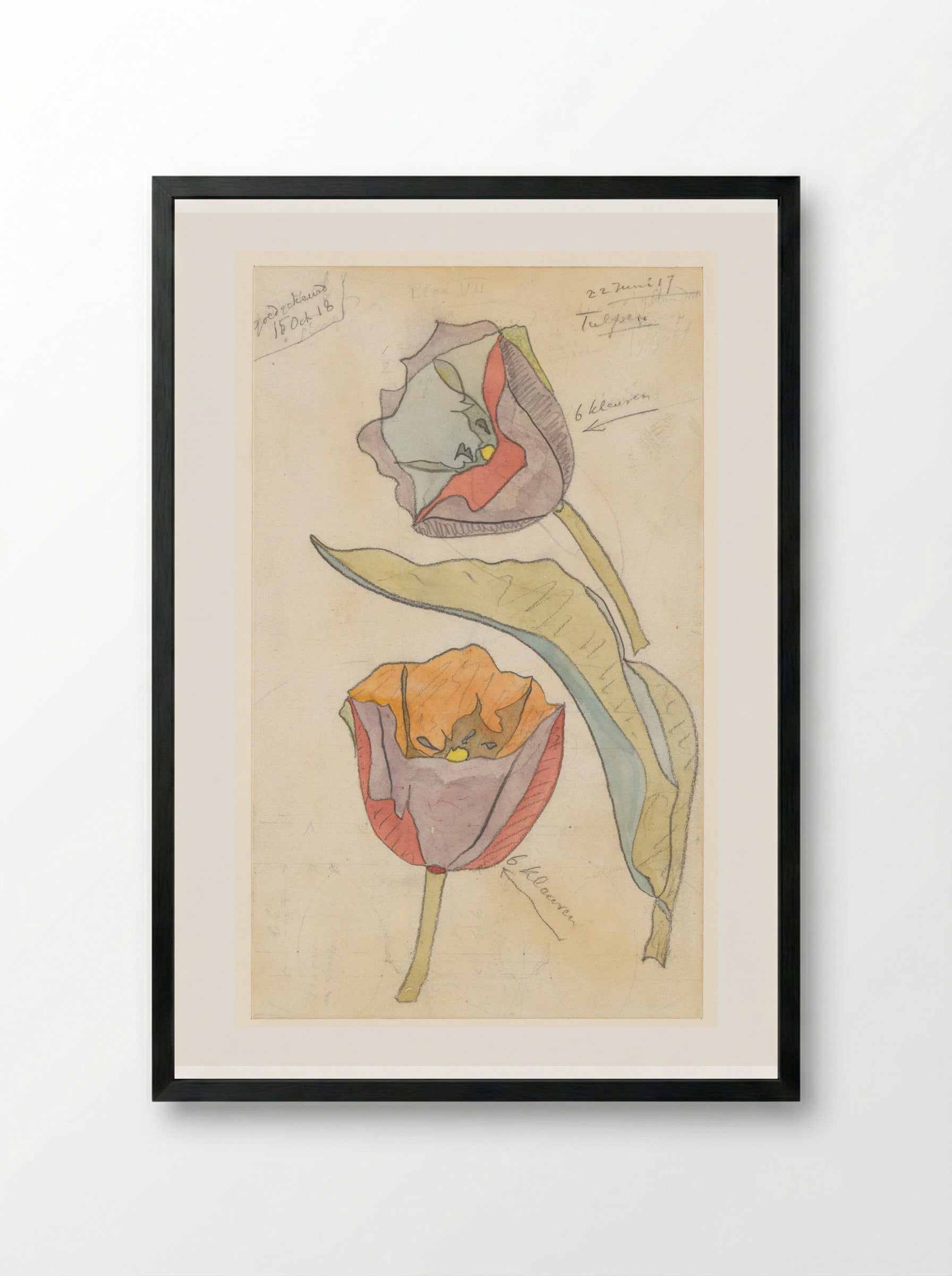Tulpen - Theo Colenbrander - Framed Print Black