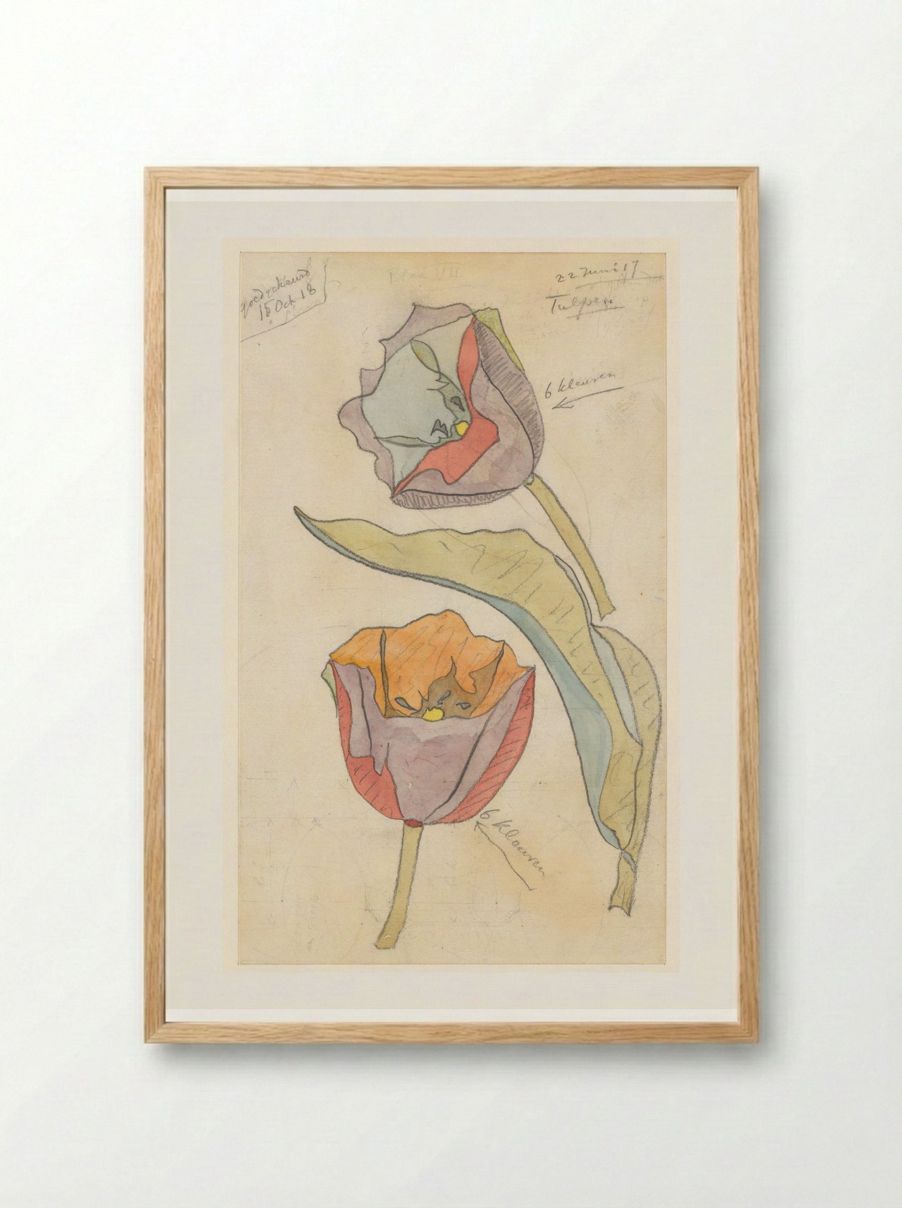 Tulpen - Theo Colenbrander - Framed Print Wood