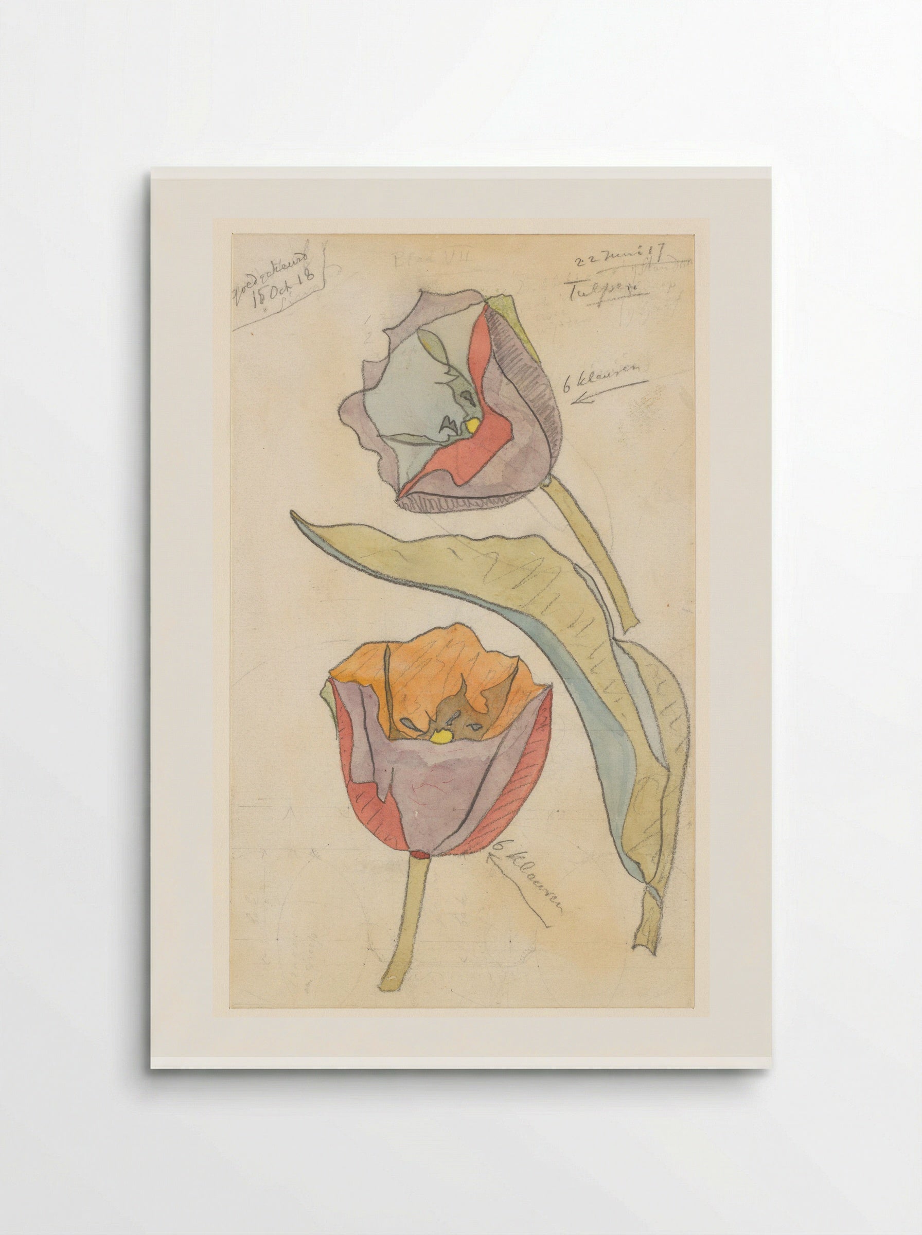 Tulpen - Theo Colenbrander - Poster