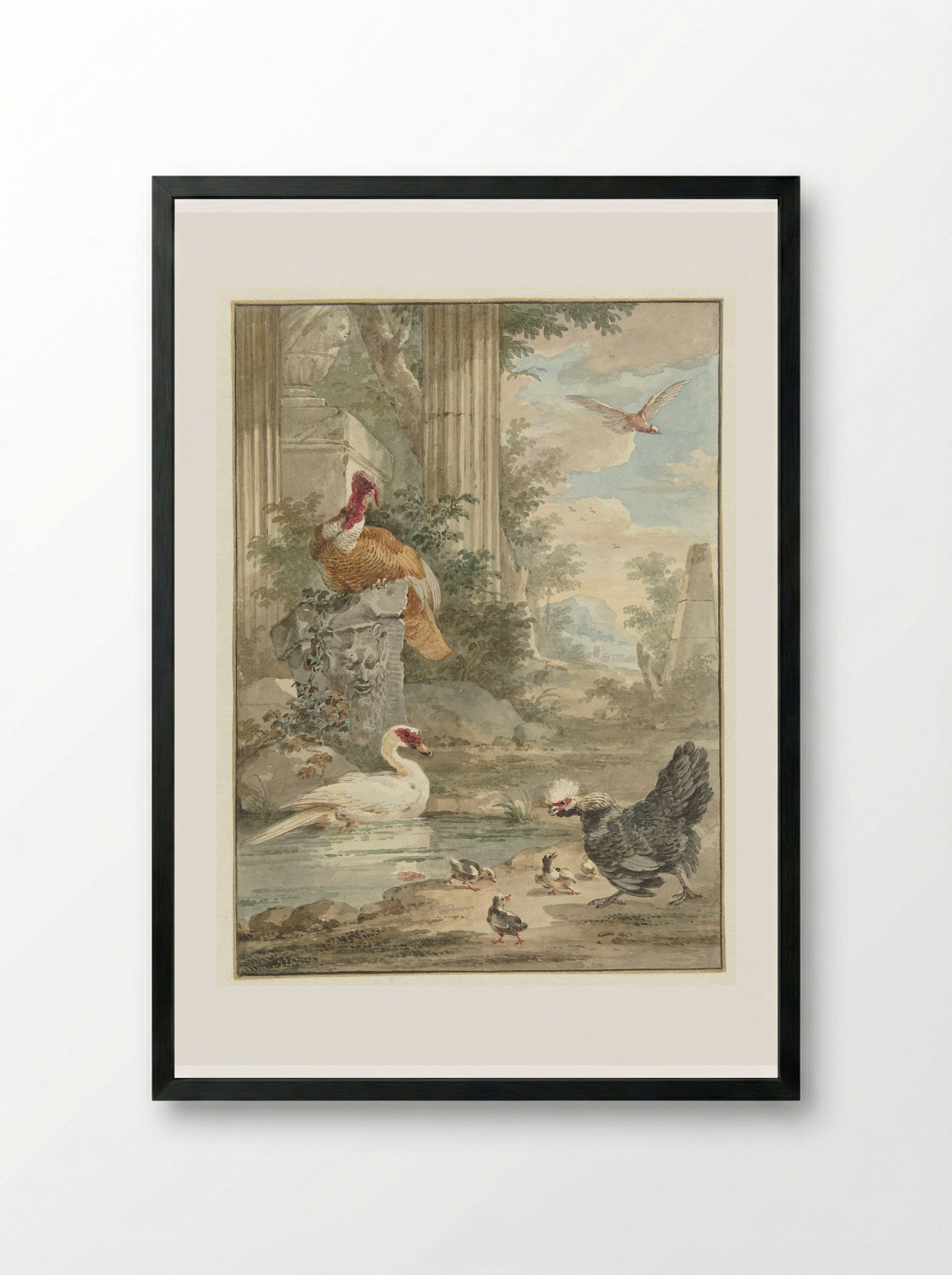 Turkey and Other Birds near Classical Ruins in a Park - Aert Schouman - Framed Print Black