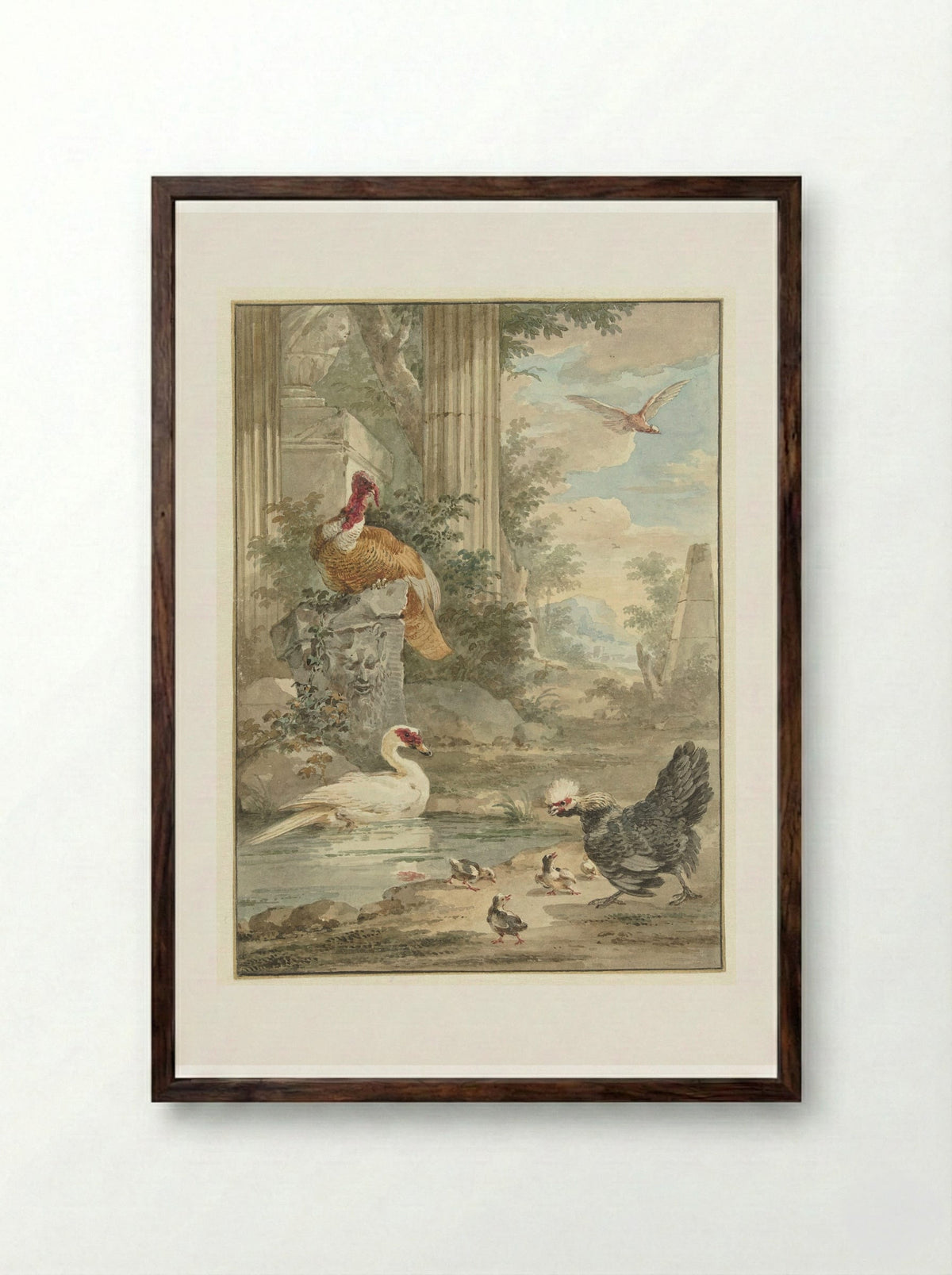 Turkey and Other Birds near Classical Ruins in a Park - Aert Schouman - Framed Print Dark Wood