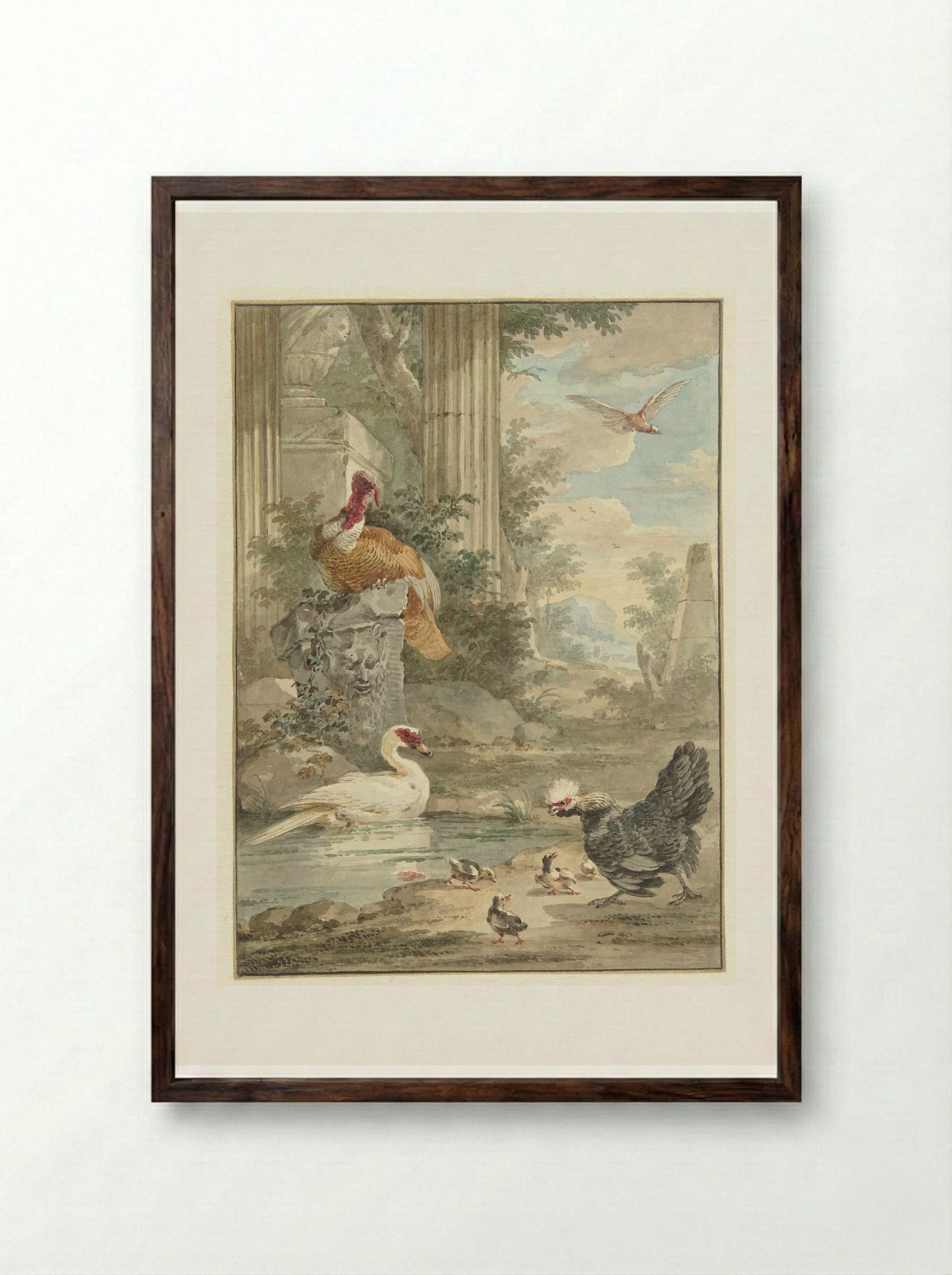 Turkey and Other Birds near Classical Ruins in a Park - Aert Schouman - Framed Print Dark Wood
