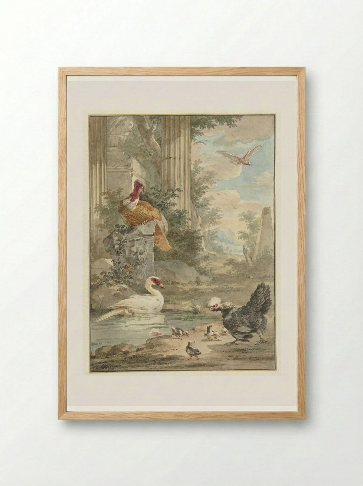 Turkey and Other Birds near Classical Ruins in a Park - Aert Schouman - Framed Print Wood