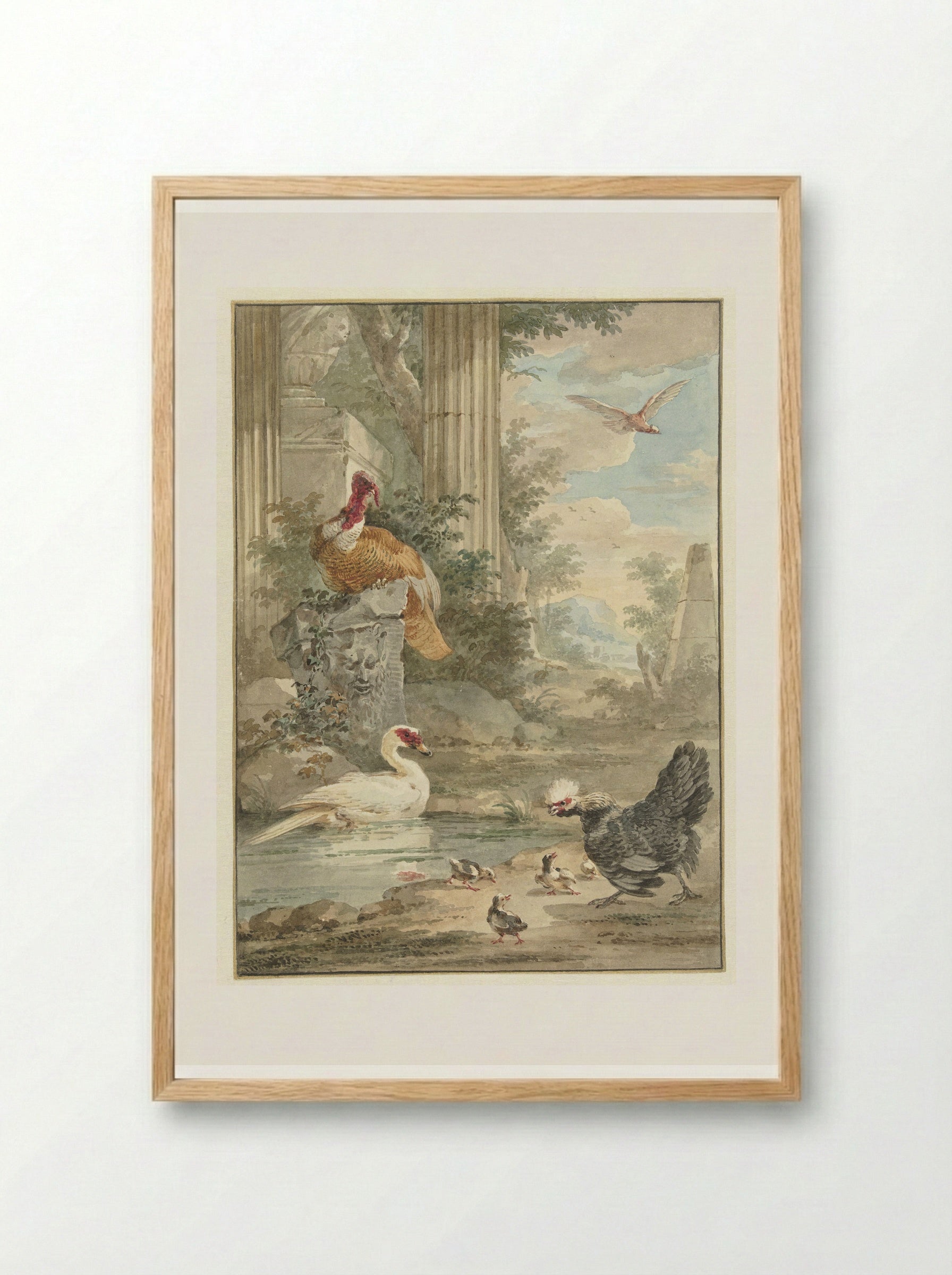 Turkey and Other Birds near Classical Ruins in a Park - Aert Schouman - Framed Print Wood