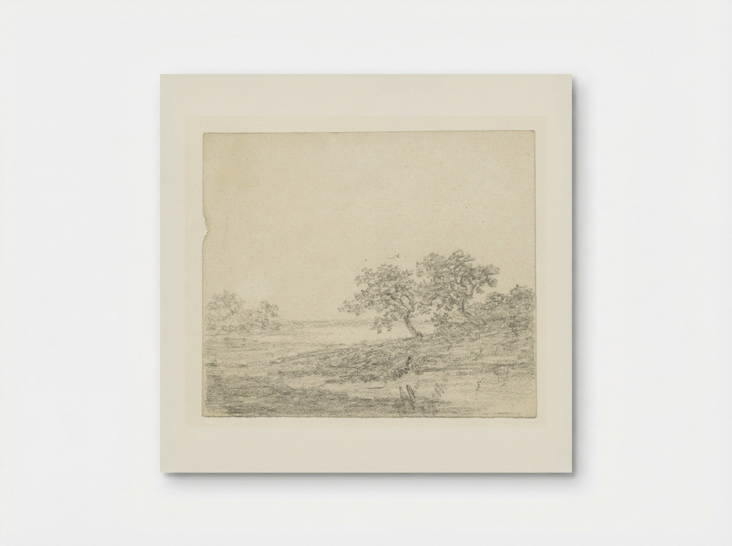 Twee bomen op een helling - Georges Michel - Poster