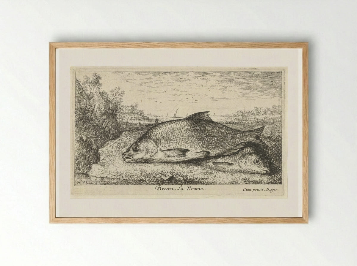 Twee brasems op een rivieroever - Albert Flamen - Framed Print Wood