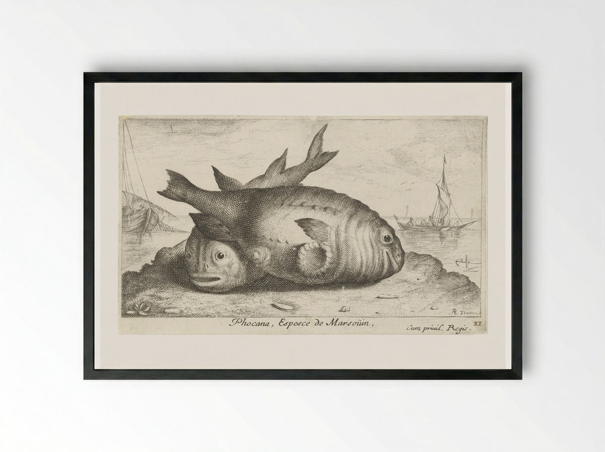 Twee bruinvissen op het strand - Albert Flamen - Framed Print Black