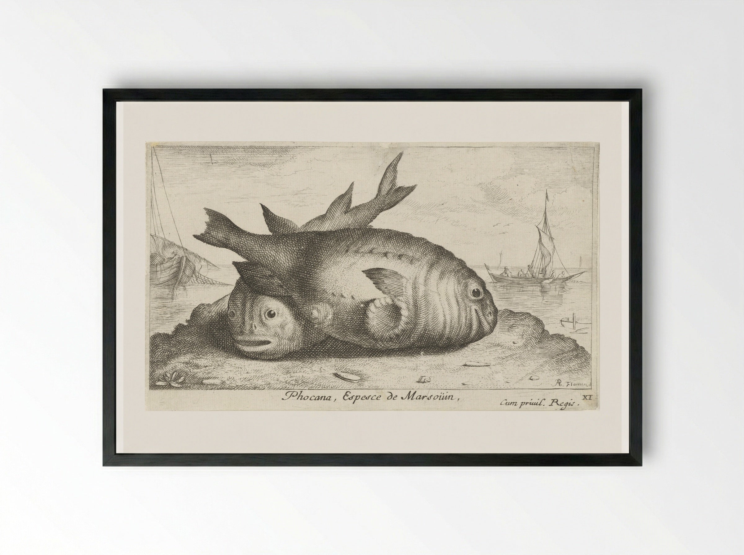 Twee bruinvissen op het strand - Albert Flamen - Framed Print Black