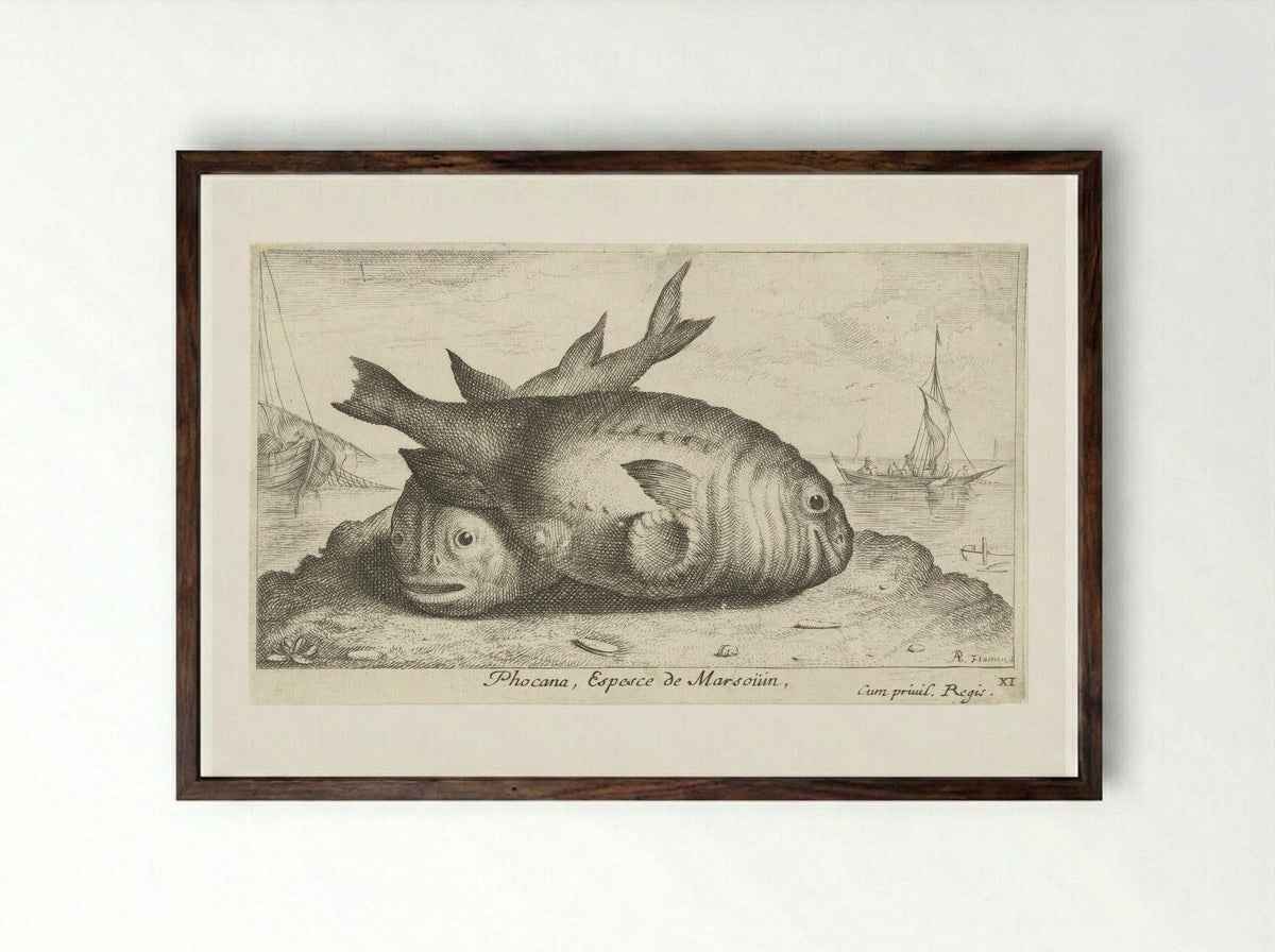 Twee bruinvissen op het strand - Albert Flamen - Framed Print Dark Wood