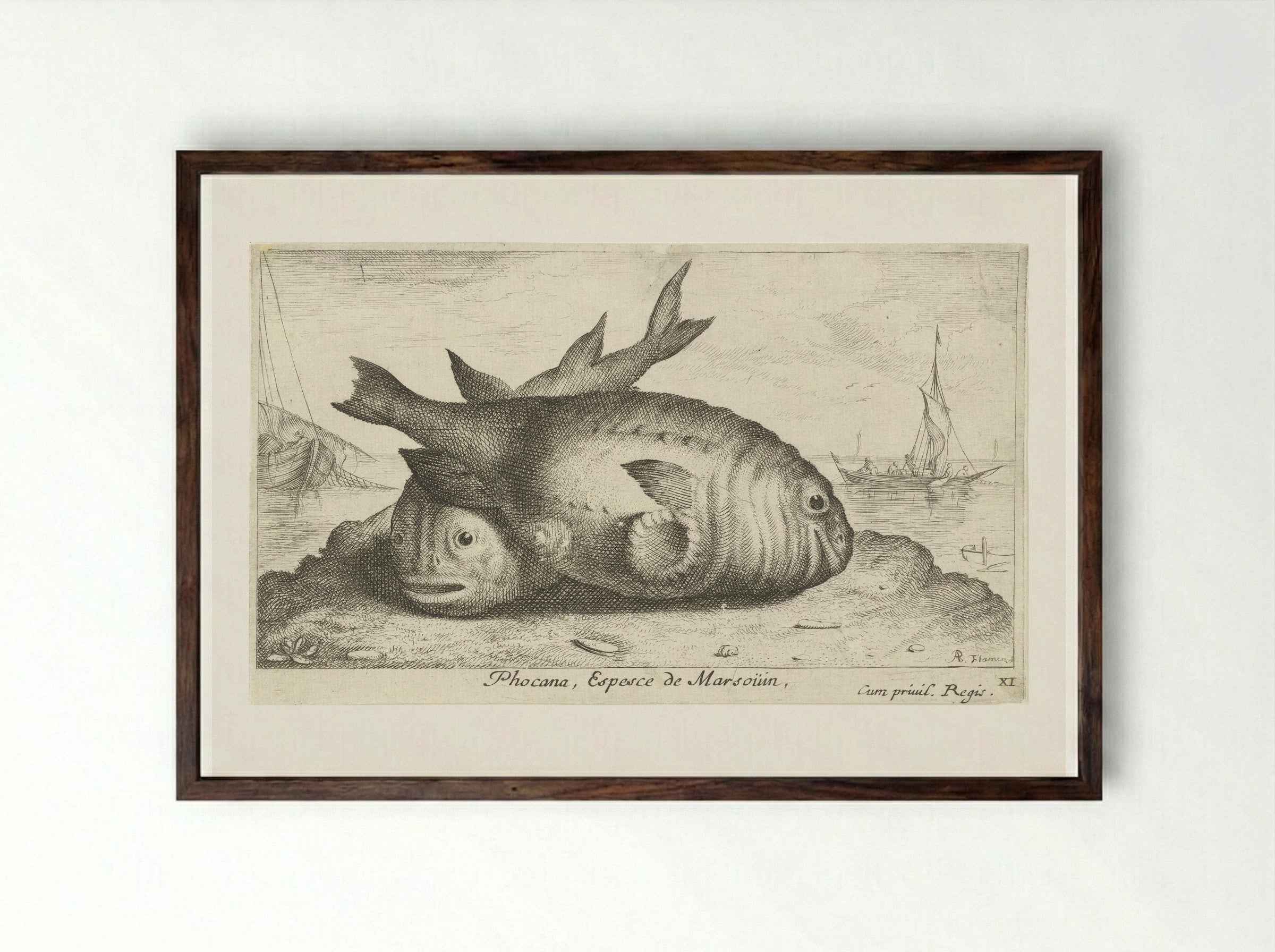 Twee bruinvissen op het strand - Albert Flamen - Framed Print Dark Wood