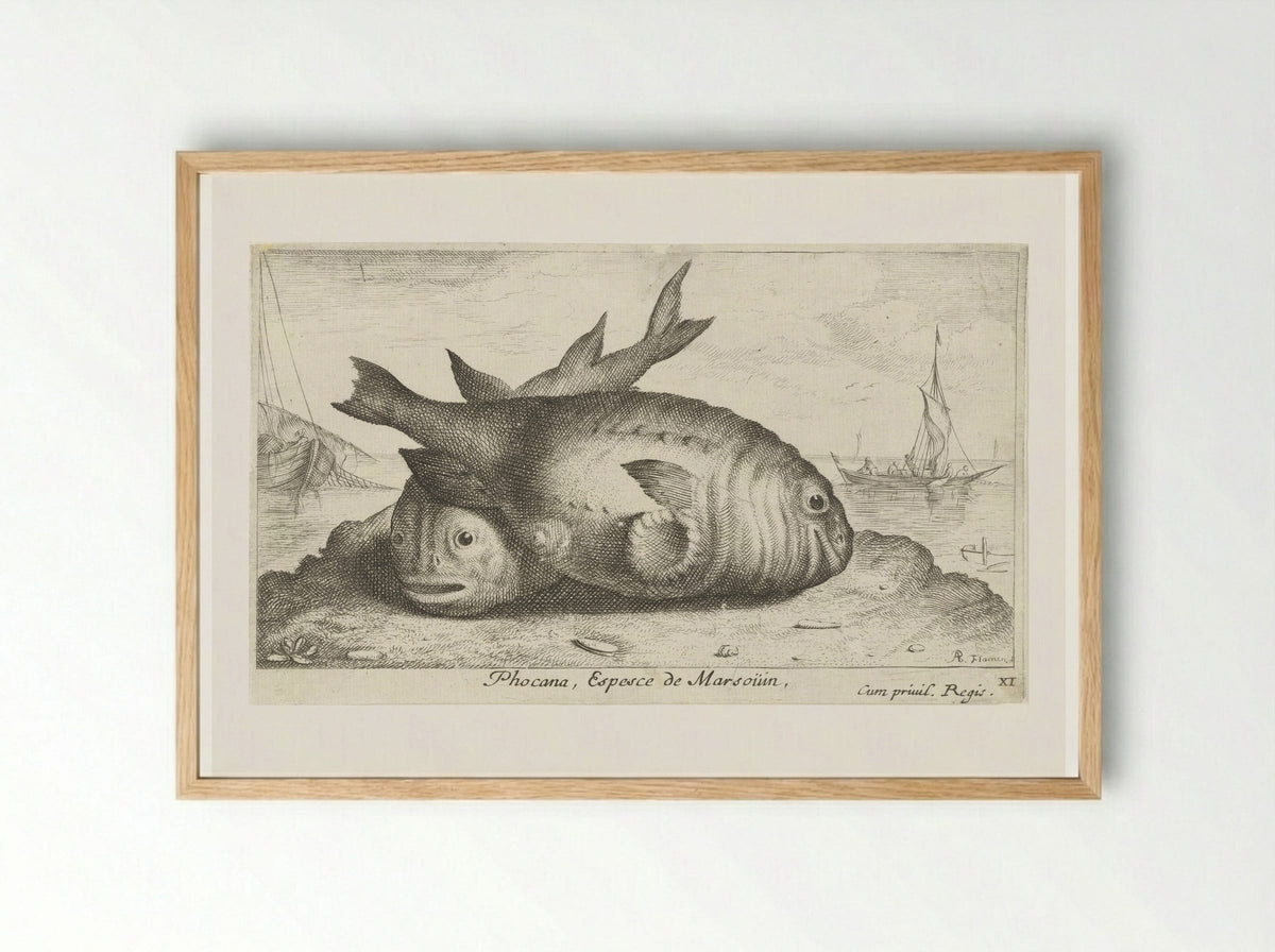 Twee bruinvissen op het strand - Albert Flamen - Framed Print Wood