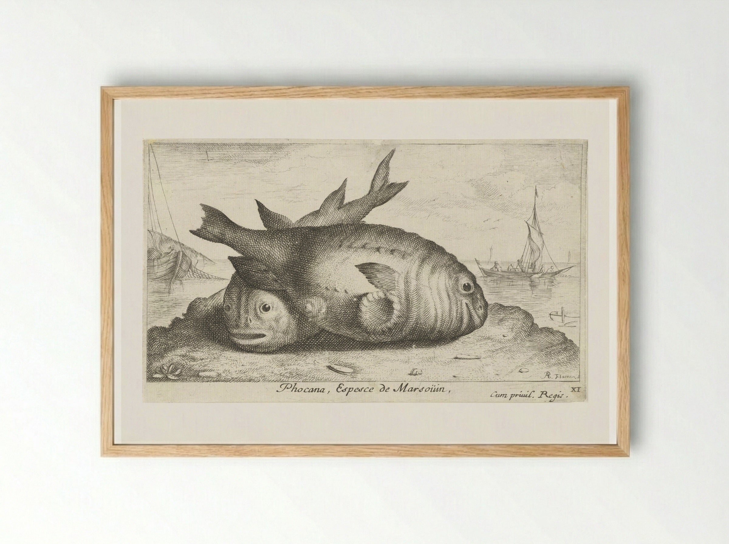 Twee bruinvissen op het strand - Albert Flamen - Framed Print Wood