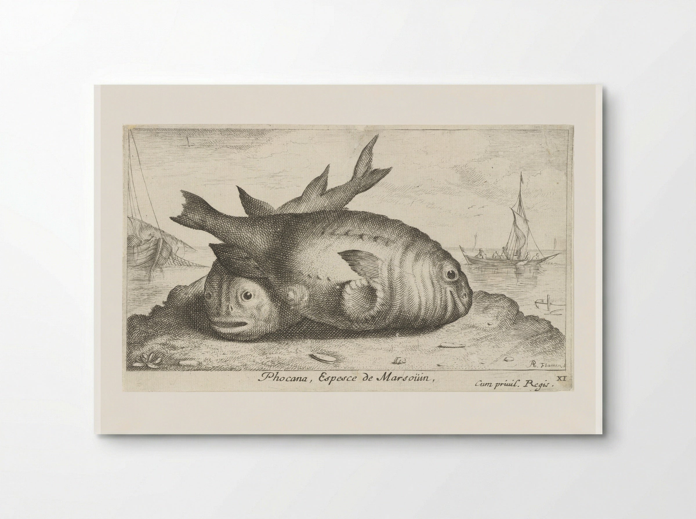 Twee bruinvissen op het strand - Albert Flamen - Poster