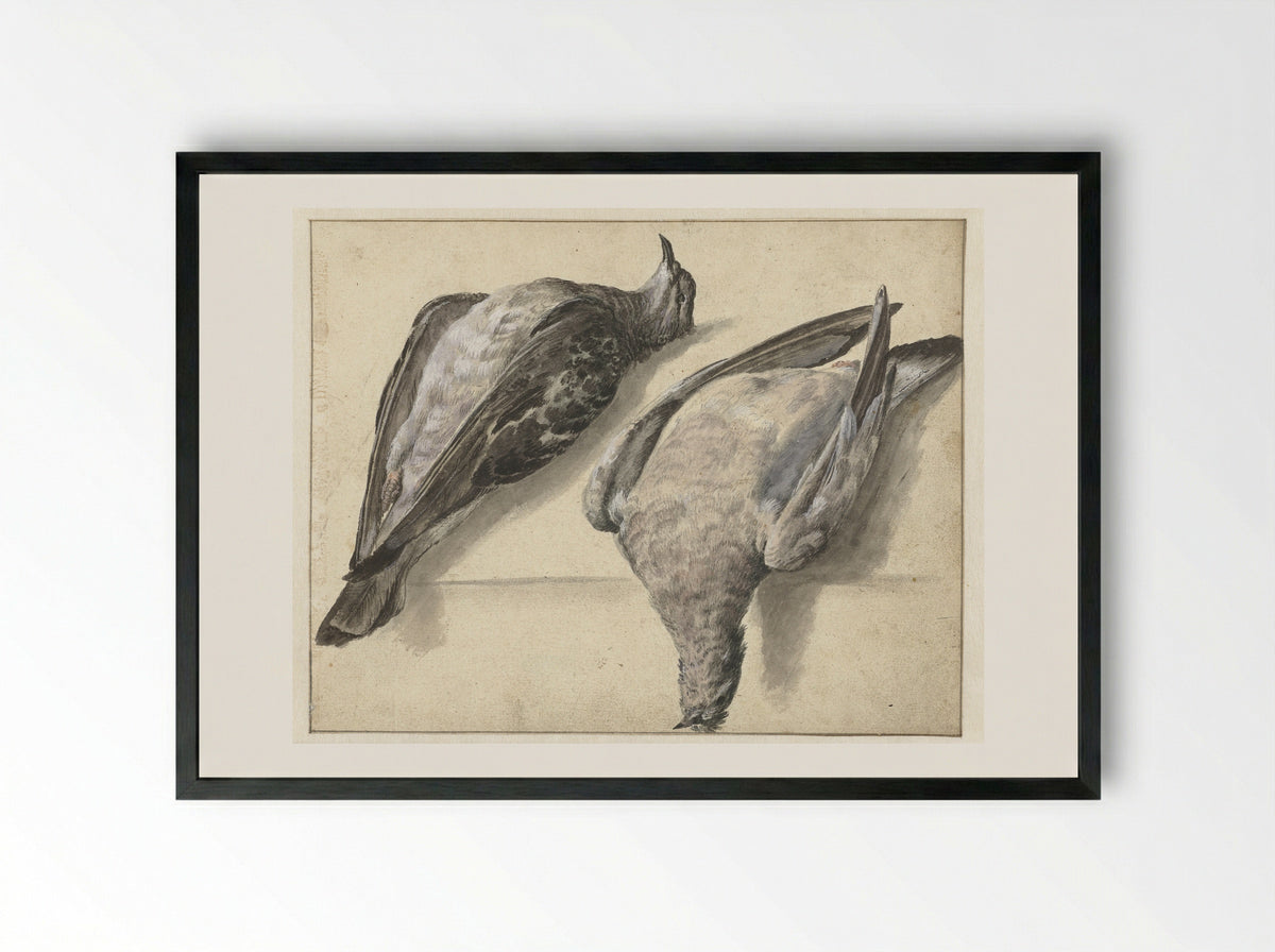 Twee dode duiven - Rochus van Veen - Framed Print Black