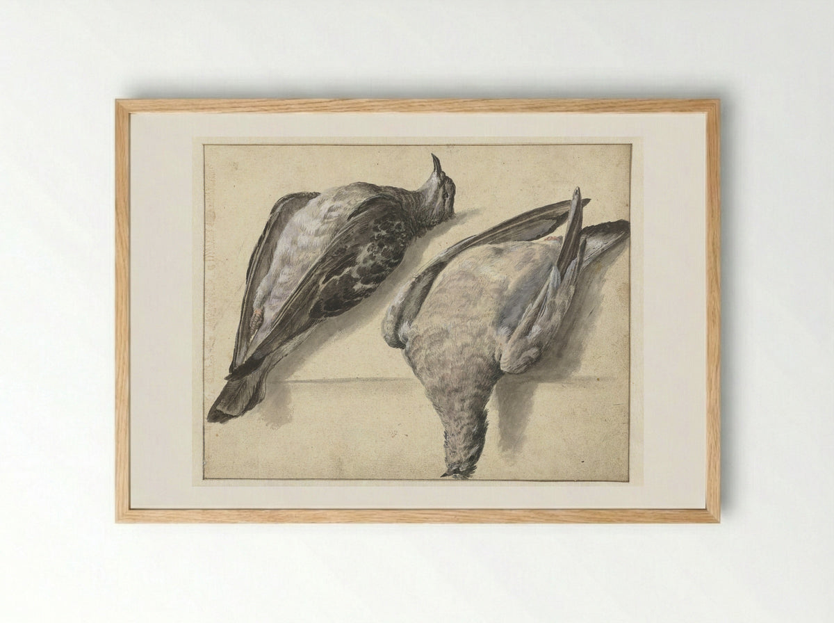 Twee dode duiven - Rochus van Veen - Framed Print Wood