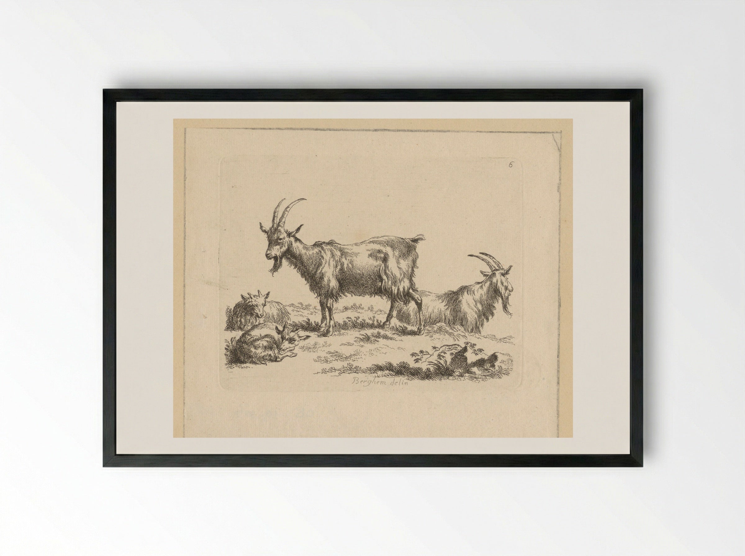 Twee geiten en twee lammeren - François Vivares - Framed Print Black