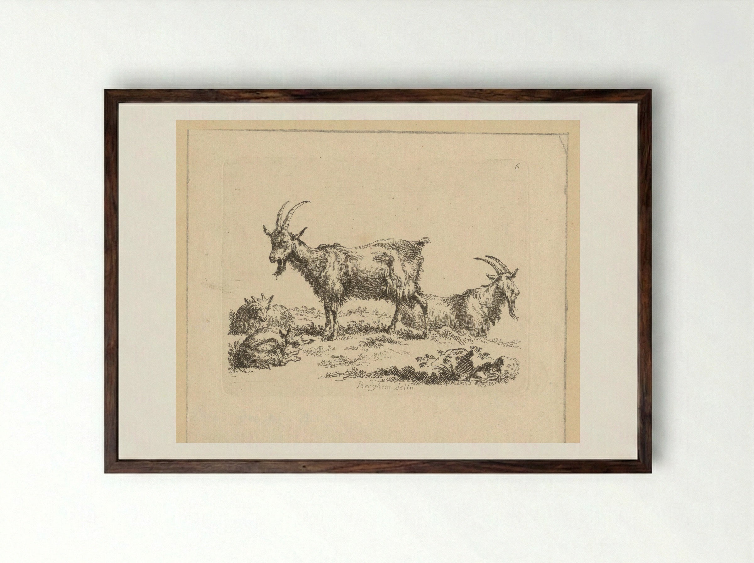 Twee geiten en twee lammeren - François Vivares - Framed Print Dark Wood