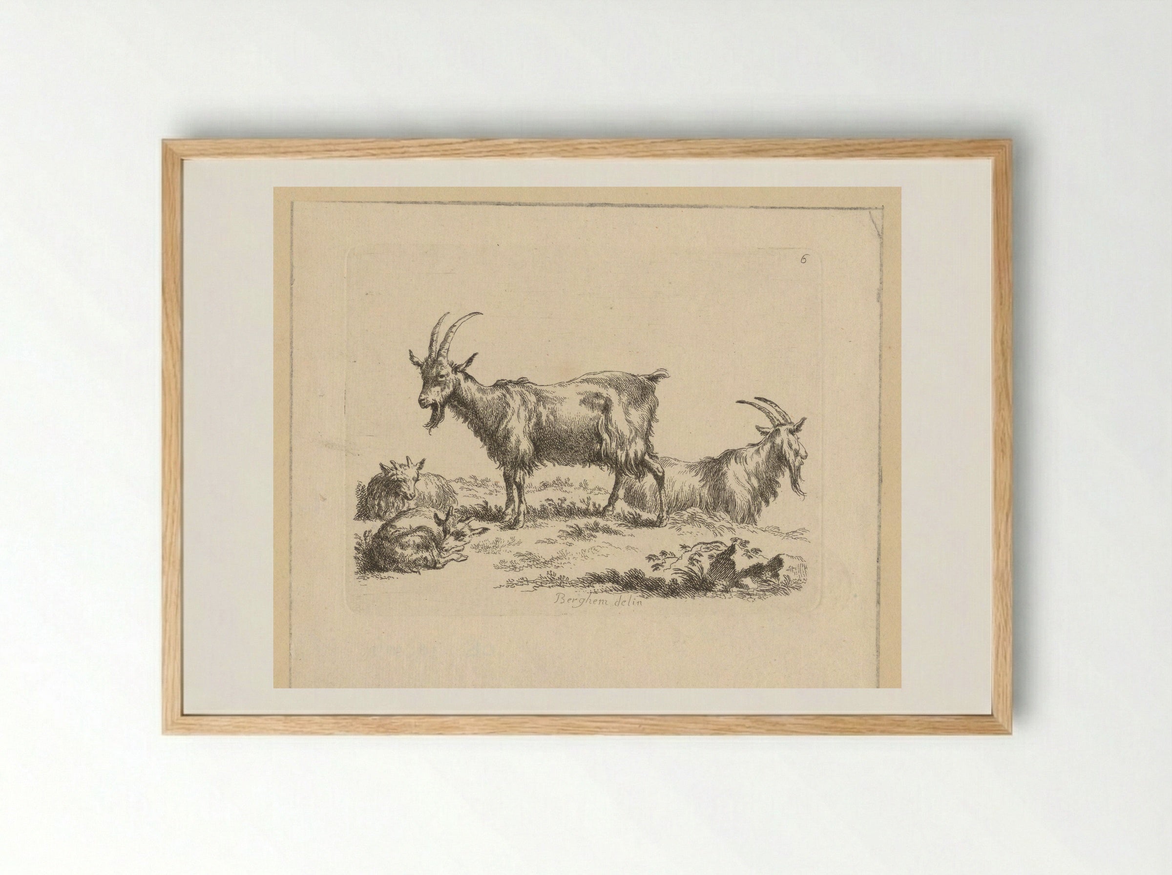 Twee geiten en twee lammeren - François Vivares - Framed Print Wood