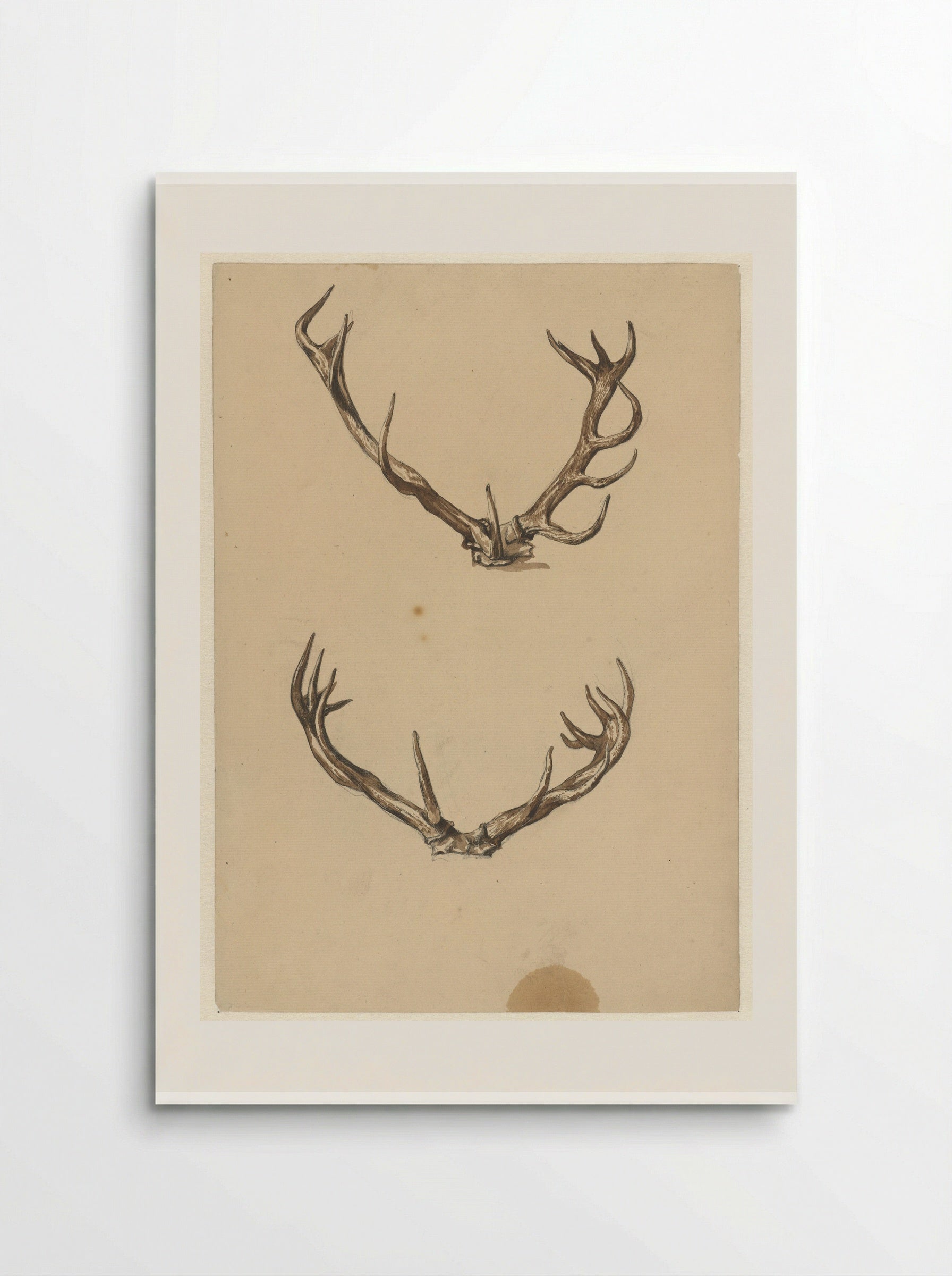 Twee geweien (Two Antlers) - Guillaume Anne van der Brugghen - Poster