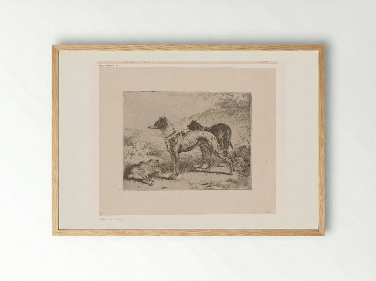 Twee hazewindhonden bij een dode haas - Joseph Moerenhout - Framed Print Wood