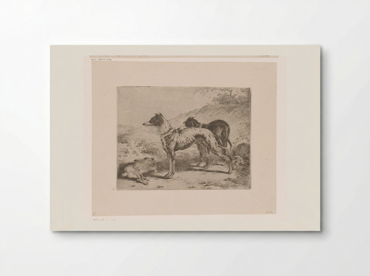 Twee hazewindhonden bij een dode haas - Joseph Moerenhout - Poster
