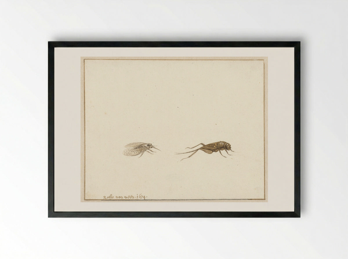 Twee insecten (Two Insects) - Rochus van Veen - Framed Print Black