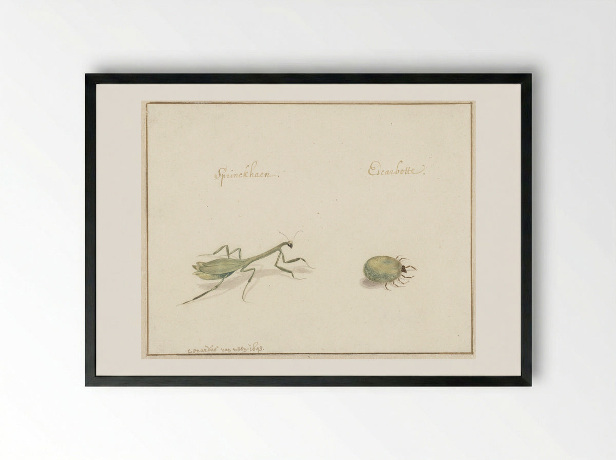 Twee insecten (Two Insects) - Gerardus van Veen - Framed Print Black