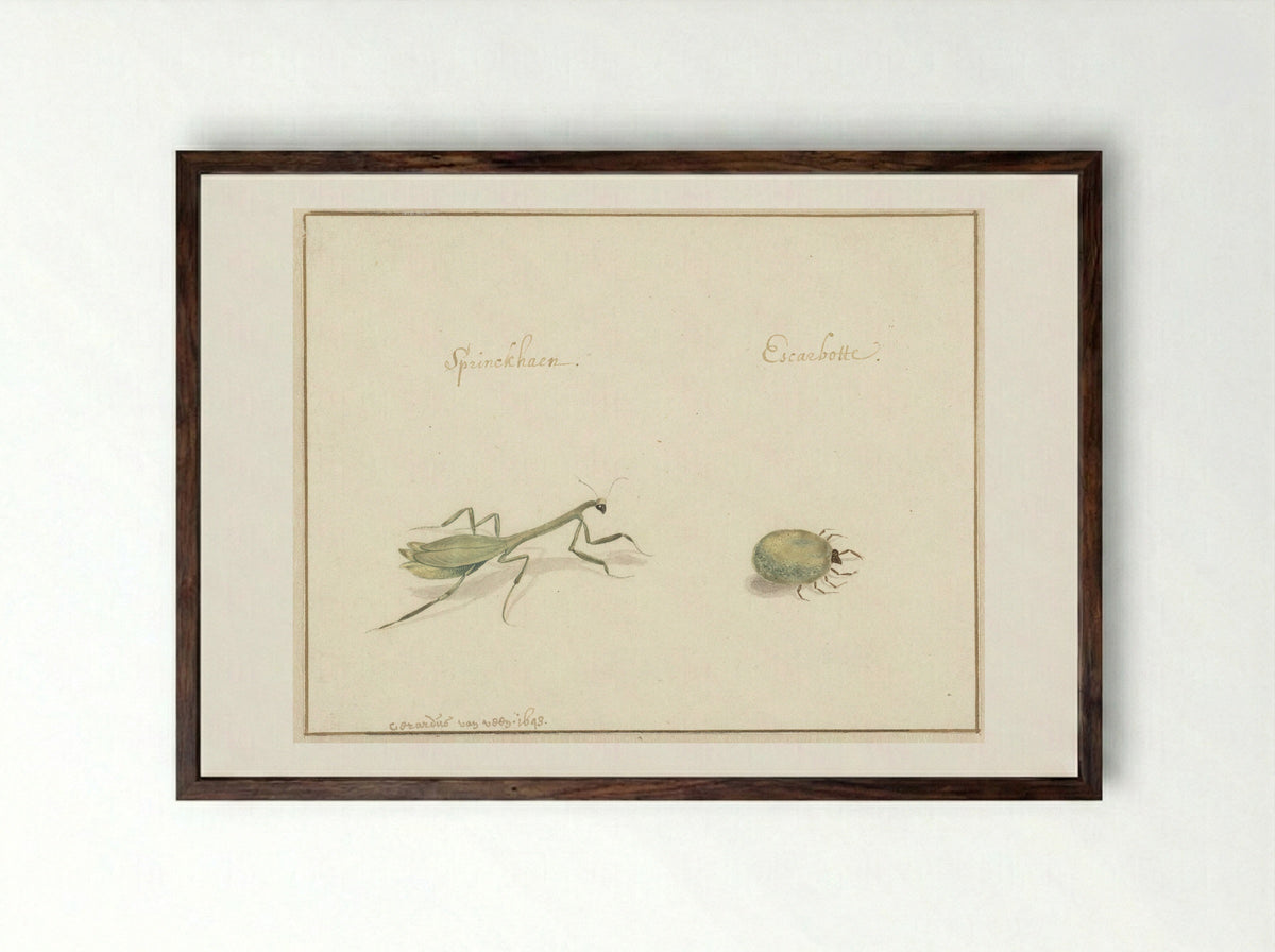 Twee insecten (Two Insects) - Gerardus van Veen - Framed Print Dark Wood