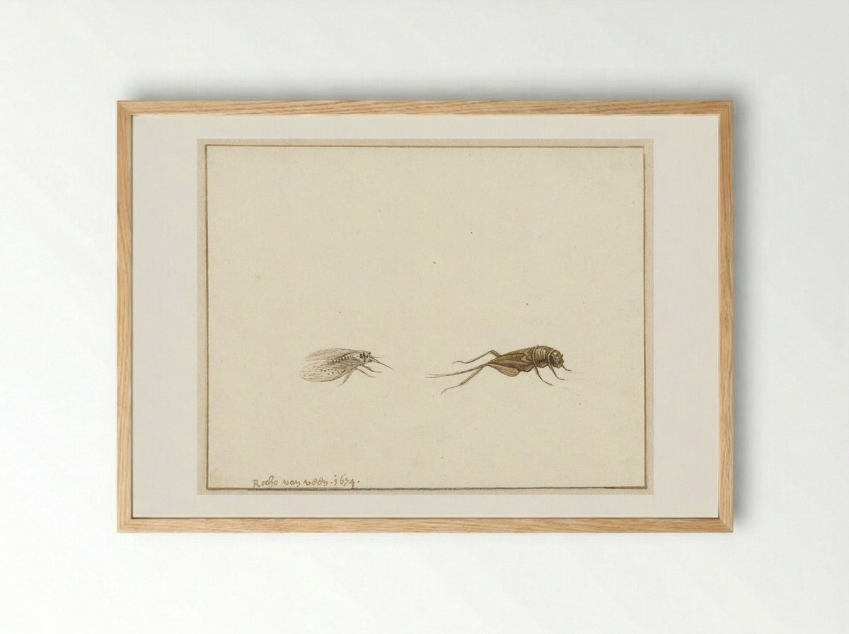 Twee insecten (Two Insects) - Rochus van Veen - Framed Print Wood