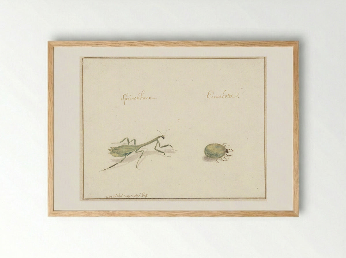 Twee insecten (Two Insects) - Gerardus van Veen - Framed Print Wood