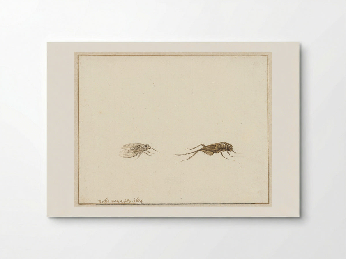 Twee insecten (Two Insects) - Rochus van Veen - Poster