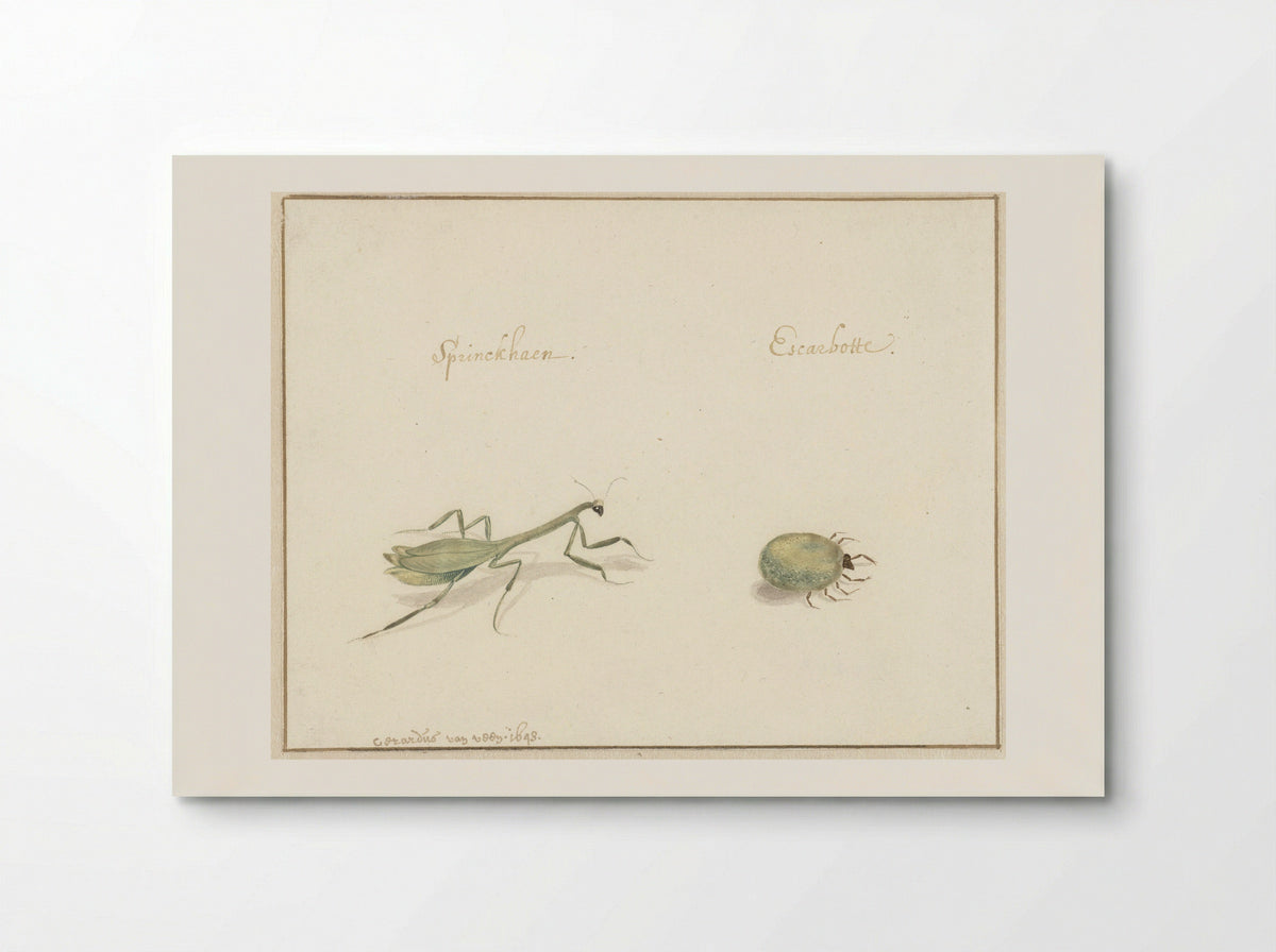 Twee insecten (Two Insects) - Gerardus van Veen - Poster