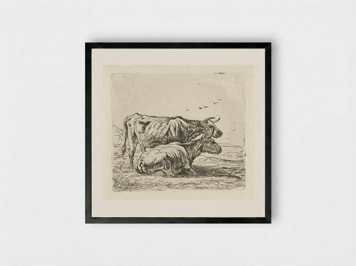 Twee koeien (Two Cows) - Aelbert Cuyp - Framed Print Black